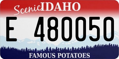 ID license plate E480050