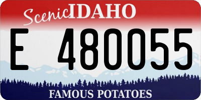 ID license plate E480055