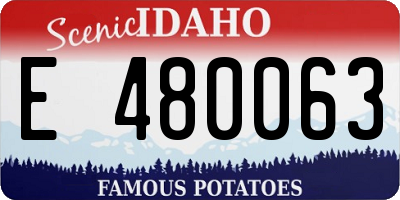 ID license plate E480063