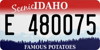 ID license plate E480075