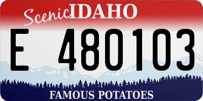 ID license plate E480103