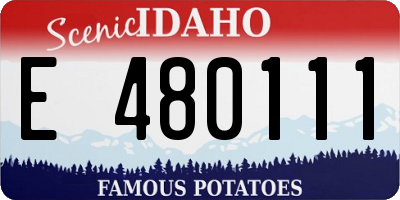 ID license plate E480111