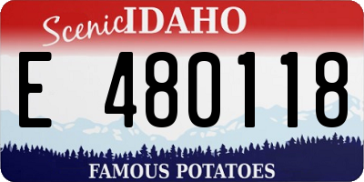 ID license plate E480118