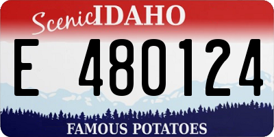 ID license plate E480124
