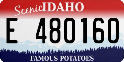 ID license plate E480160