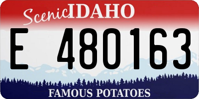 ID license plate E480163
