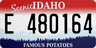 ID license plate E480164