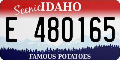 ID license plate E480165