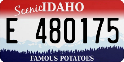ID license plate E480175