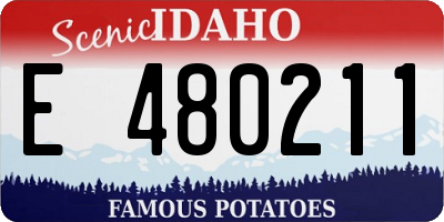 ID license plate E480211