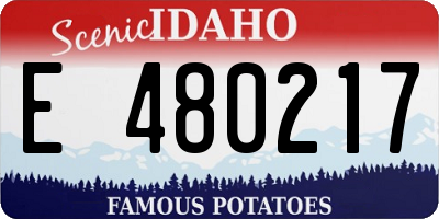 ID license plate E480217