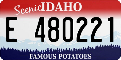 ID license plate E480221
