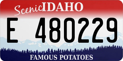 ID license plate E480229
