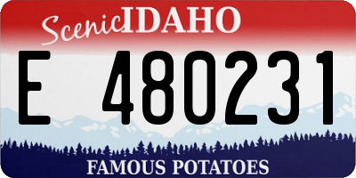 ID license plate E480231