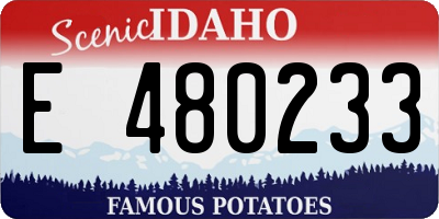 ID license plate E480233