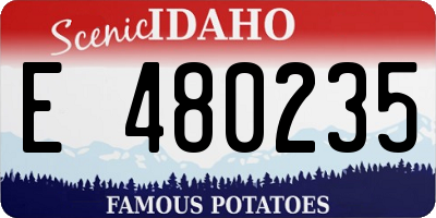 ID license plate E480235