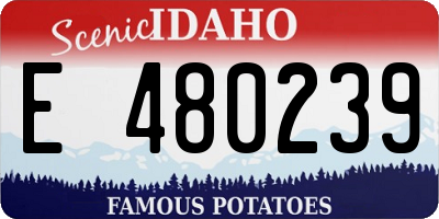 ID license plate E480239