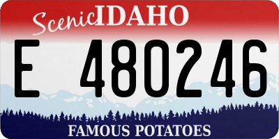 ID license plate E480246