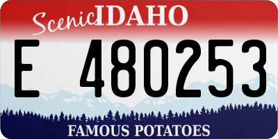 ID license plate E480253