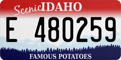 ID license plate E480259