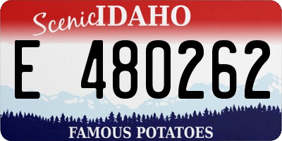 ID license plate E480262