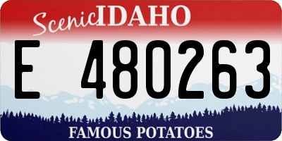 ID license plate E480263