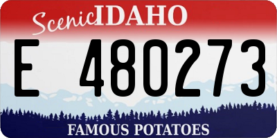 ID license plate E480273