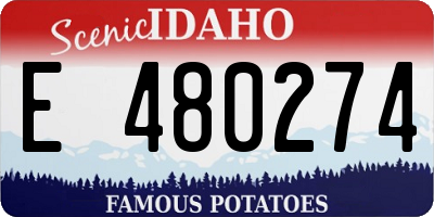 ID license plate E480274