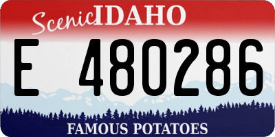 ID license plate E480286