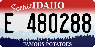 ID license plate E480288
