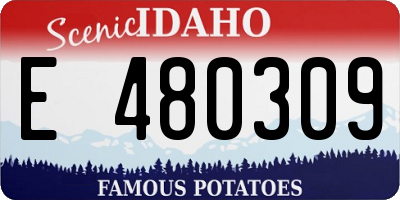 ID license plate E480309