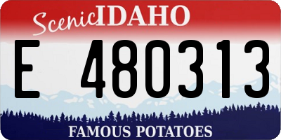 ID license plate E480313