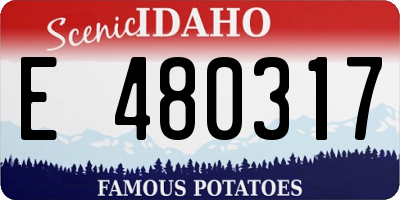 ID license plate E480317