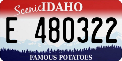 ID license plate E480322