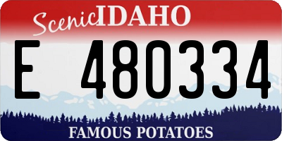 ID license plate E480334