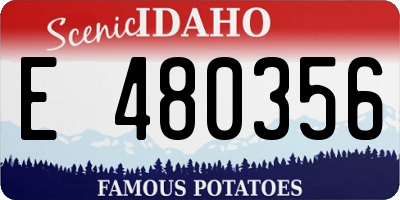 ID license plate E480356