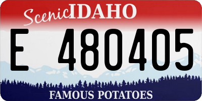 ID license plate E480405