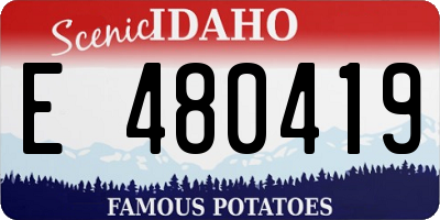 ID license plate E480419