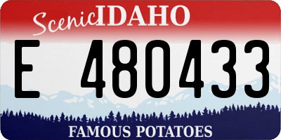 ID license plate E480433