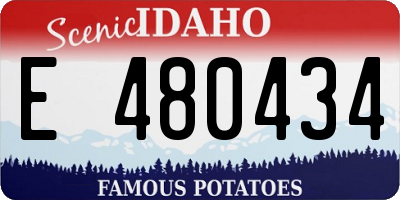 ID license plate E480434