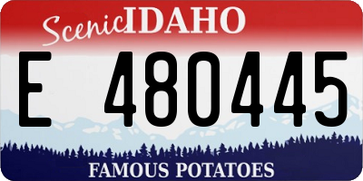 ID license plate E480445