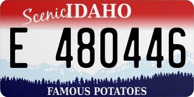 ID license plate E480446