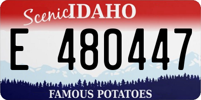 ID license plate E480447