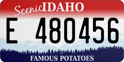 ID license plate E480456