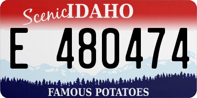 ID license plate E480474
