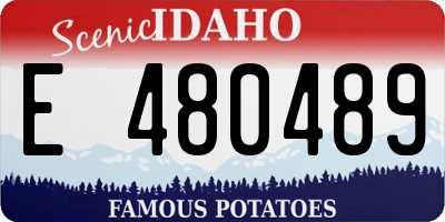 ID license plate E480489