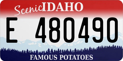 ID license plate E480490