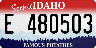 ID license plate E480503