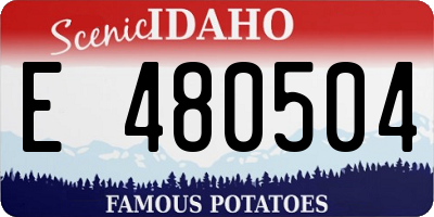 ID license plate E480504