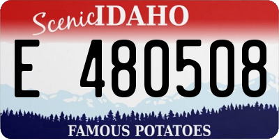 ID license plate E480508